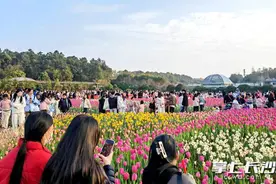 双休日省植物园将迎赏花高峰，请先预约成功后再来图片