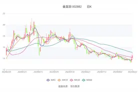 金龙羽：2024年上半年净利润8359.40万元 同比下降31.14%图片