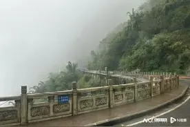 探访哀牢山：有本地人不知走红，主播称山里冷直播时被蚂蝗咬图片