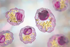 巨噬细胞：对抗实体肿瘤的“希望之星”？图片