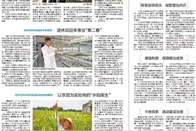 干群齐心，人居向好！高州根子镇人居环境整治这样干图片
