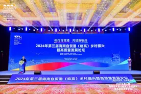 临高：发力临港、渔港、低空和文旅经济图片