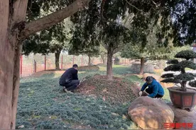 绿色产业充实“绿心”，昔日“疮疤”变风景图片
