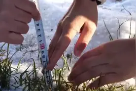 各地抢抓农时备战春耕关键期 技术人员田间“把脉”为丰收护航图片