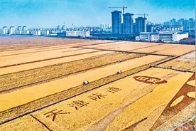 稻作文化  添彩津南（新时代 新画卷）图片