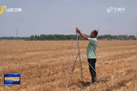 最高42℃！未来三天高温持续，山东各地多措并举全力应对“烤验”图片