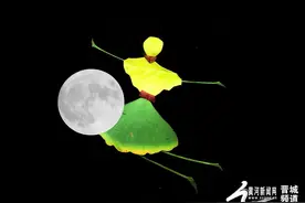 创意摄影：形态各异的树叶贴画图片