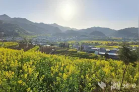 竹溪18万亩油菜花海扮靓乡村图片