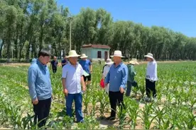 山西孝义：乡村振兴耕耘者“大国农匠”范忠图片