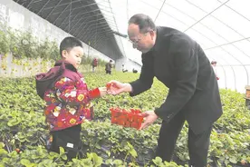 土地流转助力乡村振兴图片