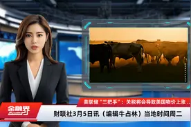 美联储“三把手”：关税将会导致美国物价上涨 目前没必要调整政策视频封面