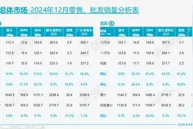 数说车市丨2024年乘用车零售同比增长5.5%，新能源产销首超千万辆图片