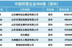 最新发布！滨州7家企业上榜 2024中国民营企业500强图片