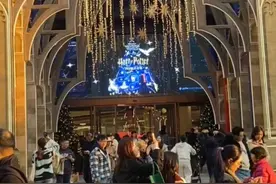 不爱网购，爱线下集结？“哈迷痛城”火爆上海！图片