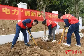为大地增添新绿图片
