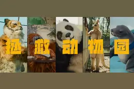 喜剧电影《动物园里有什么？》曝“一点都看不出来”预告图片