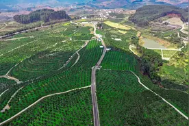 市州观察｜眉山涌现城乡融合新场景图片