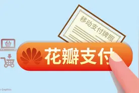 视频丨华为“花瓣支付”更名背后：跟进支付新规、推进鸿蒙生态图片