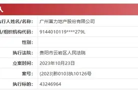 富力地产被执行超4324万，刚坦陈“老赖”身份图片