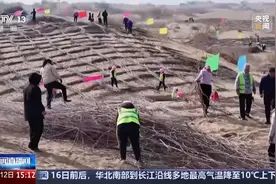 无人机“种草”、机器人植树 这份“治沙攻略”科技感满满图片