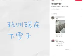 刚刚！杭州主城区，下雪子了！一粒一粒一粒一粒一粒……图片