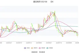 嘉应制药：2024年上半年净利润566.77万元 同比下降68.94%图片