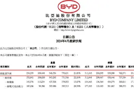 新能源车4月销量：比亚迪狂奔，小米SU7首月交付7058台图片