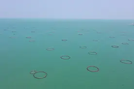 【视频】耕海牧渔启新程，广东移动赋能海洋牧场挺进“深蓝”丨强国兴商·牵手帮图片