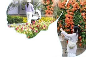 花海经济，如何一路生花？图片