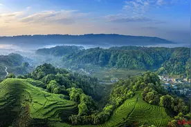 看熊猫、喝雅茶！第二十届蒙顶山茶文化旅游节在四川雅安开幕图片