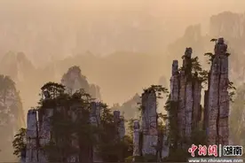 有福利! 跟着“哪吒”游张家界国家森林公园图片