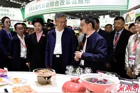 第二十五届中国中部（湖南）农业博览会在长沙开幕图片