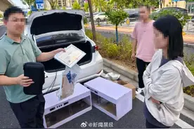 90后夫妻离婚因18万宠物龟归属起争执图片