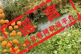 “沃柑价格走低，果农倒掉也不卖”？别信！图片