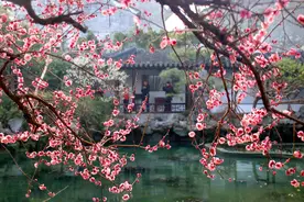 花地·纪实｜唐咏梅：神奇热水洲图片