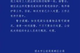 浙江丽水警方通报“一工地挖出疑似炮弹”图片