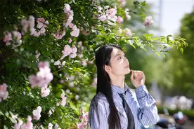 浪漫拉满！安徽新华学院2000米蔷薇花墙美出圈图片