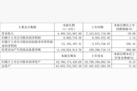 光明地产：2023年上半年净利润869.27万元 同比增长1.14%图片