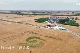 央媒观豫丨融媒一线：看，如此“接地气”的科幻“农”景图片