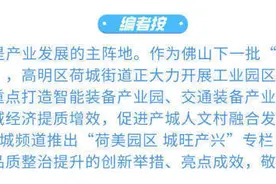 荒地变农田，高明荷城这个工业园启动“职工农场”图片