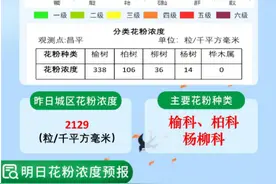 春季花粉过敏高发“过敏星人”如何有效防护和应对？图片