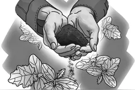 王师傅图片