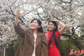 马来西亚旅行达人在“樱花雨”中发出邀约， “ 武汉的春天太美了，欢迎大家来武汉”图片