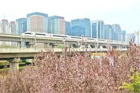 凭高铁票，这些景区优惠！图片