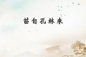 苗自孔林来图片