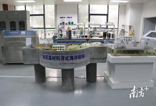 点解花胶煮热变成一小 2026年花胶煮化了什么原因