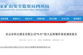 致8人遇难！6人涉嫌犯罪！乐山四合煤矿瓦斯爆炸事故原因公布图片