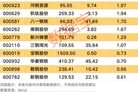 大牛股688256回调，高盛上调目标价！行业重要方案出台，11只钢铁股获社保基金持仓图片