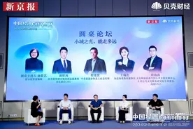 圆桌丨全产业链协同提供坚实基础保障，让“小城之光”走得更远图片