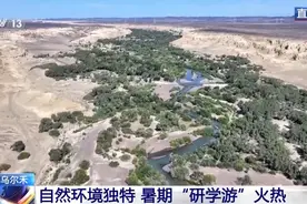 一棵树能长出三种叶子？大美新疆喊你来研学打卡图片